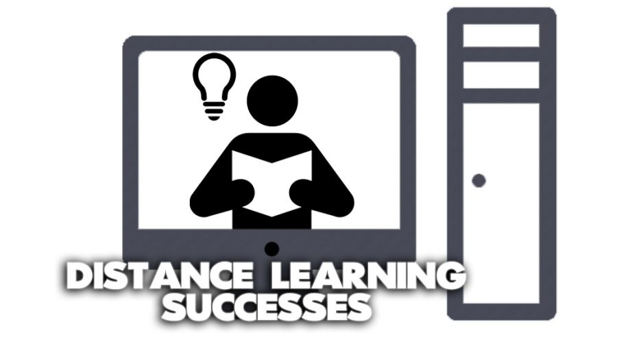 Distance+Learning%3A+The+Hard+Earned+Successes