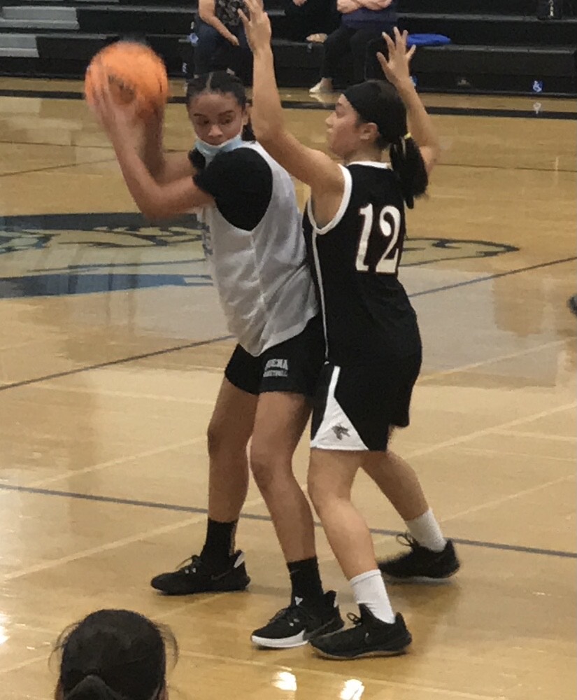 Varsity Girls Basketball face their first loss of the season after a close game against Foothill Technology High school