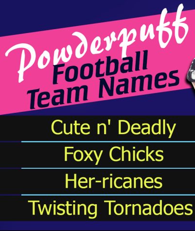 Powder puff hot sale names