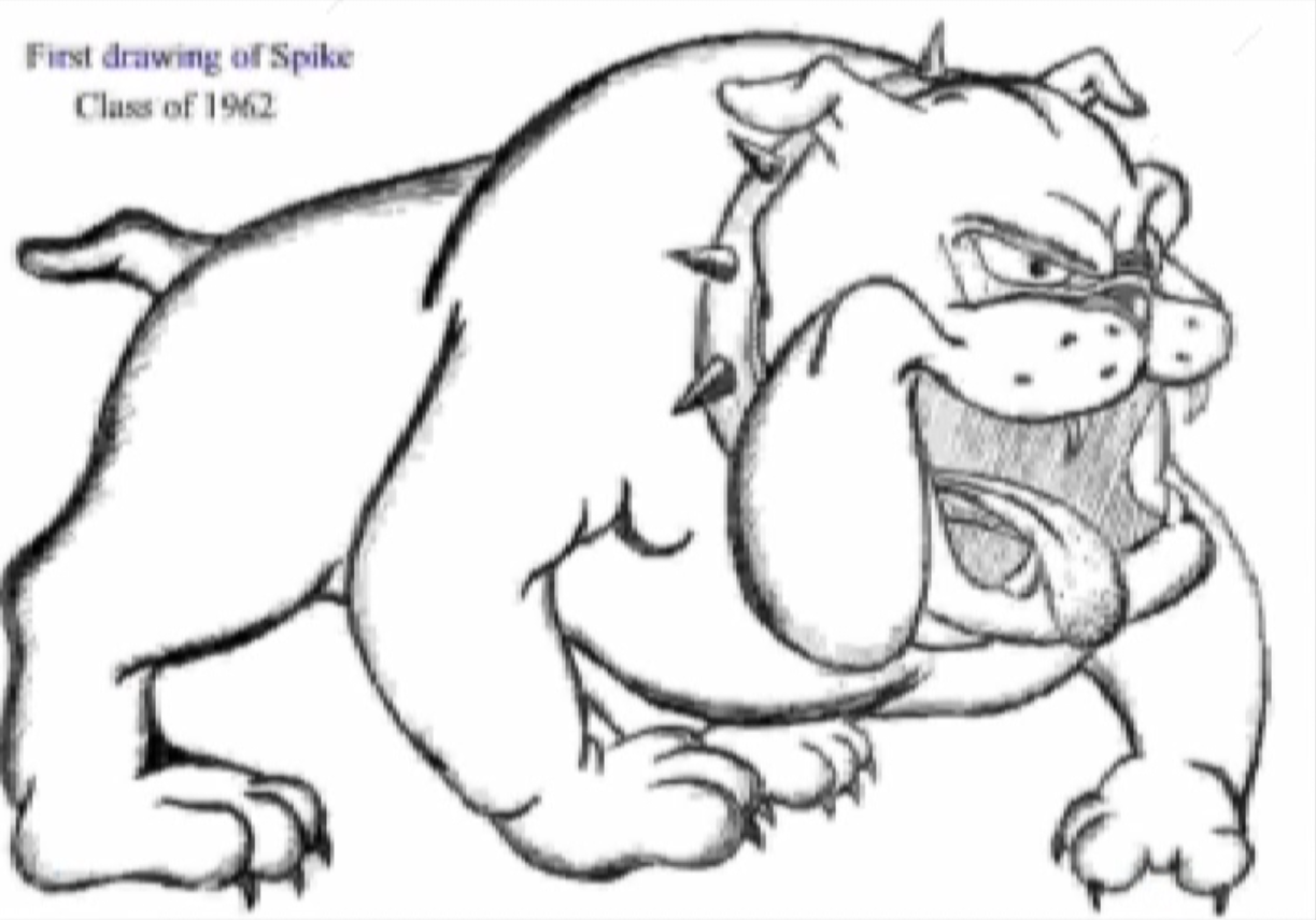 PHOTO STORY: The history of Spike the bulldog