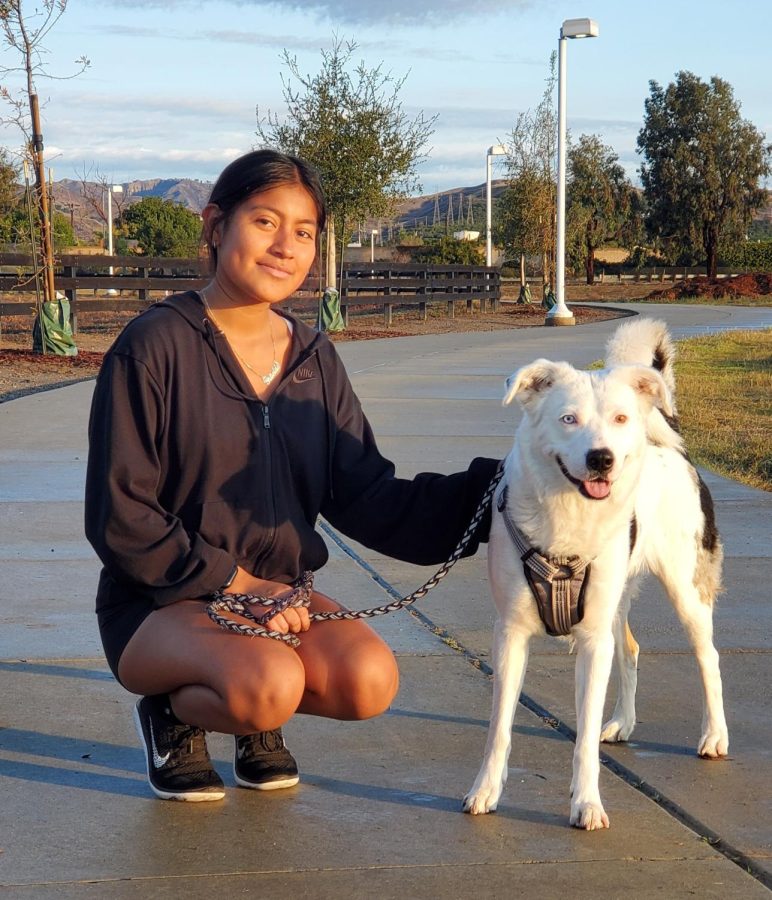 Gutierrez is with her two year old dog, Mochi, at Kimball Waterpark. “I just like running by myself, feeling the wind, focusing on one thing, hearing music while I run, overall I just really liked it,” Gutierrez said.
