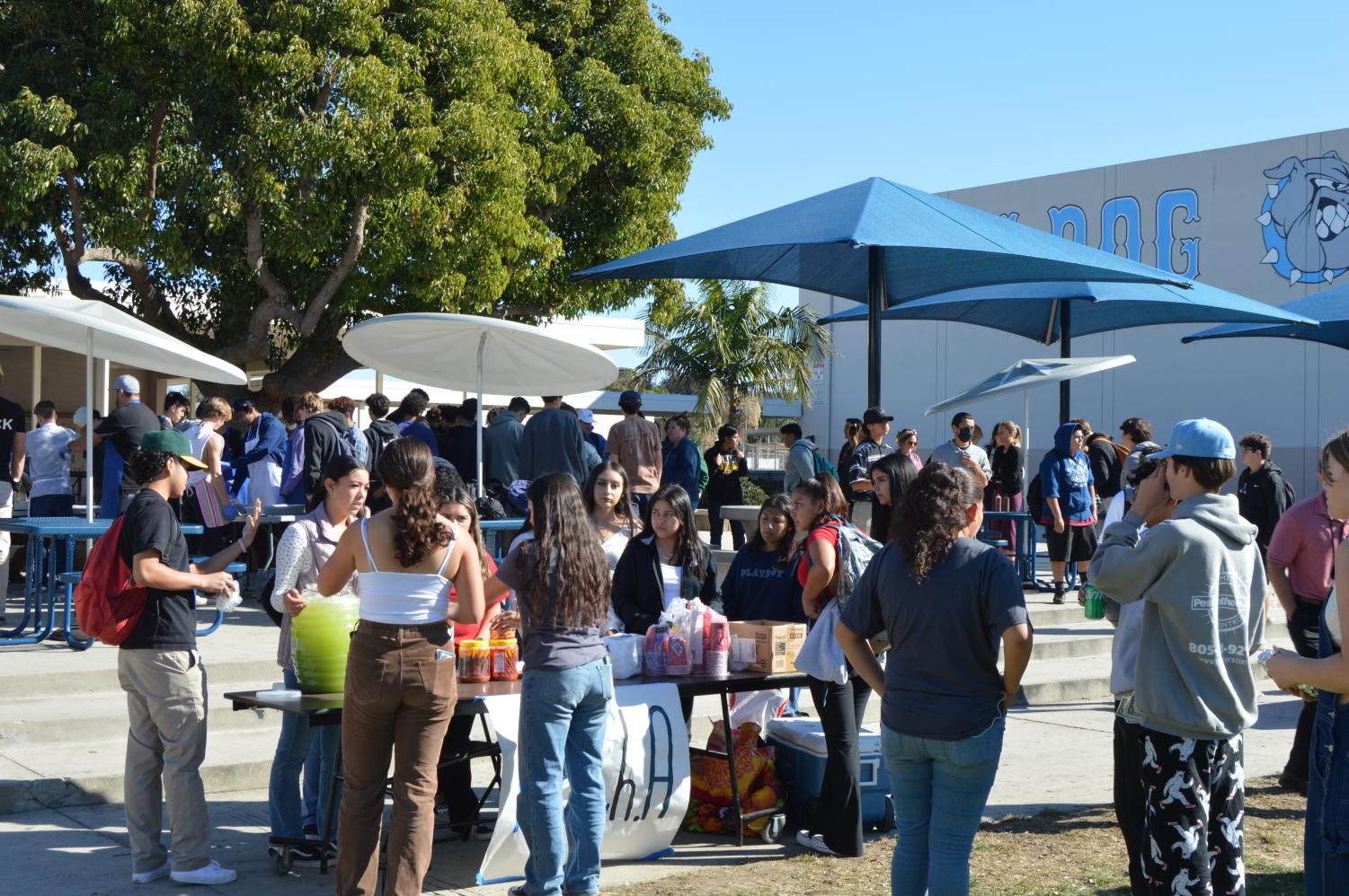 VIDEO STORY: Buena's fall food faire raises funds for clubs