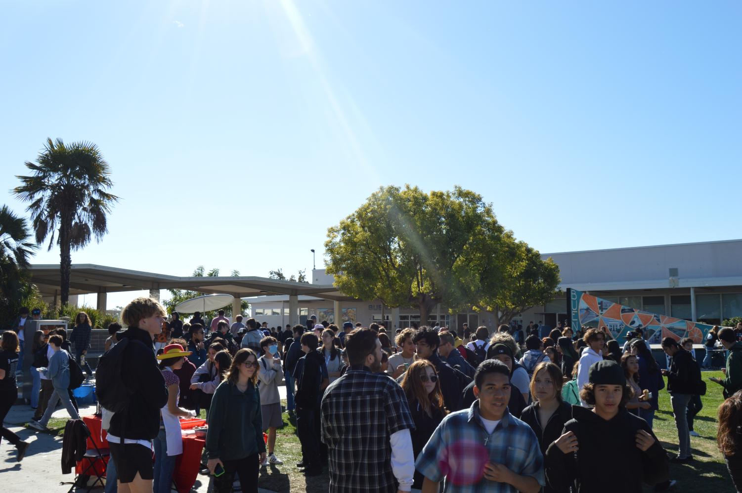 VIDEO STORY: Buena's fall food faire raises funds for clubs