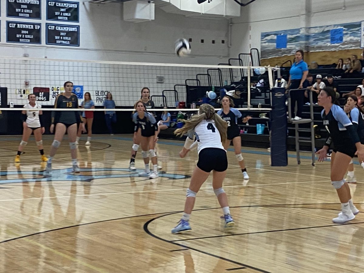 Junior Halleigh Paquette prepared to bump the ball to a teammate. A lot people had a great game [despite the loss], Paquette said. I know I got up every ball I could.
