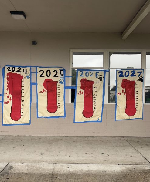 The posters displaying how many cans each class collected. 