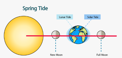 Lunar eclipse happening March 13-14 since 2022