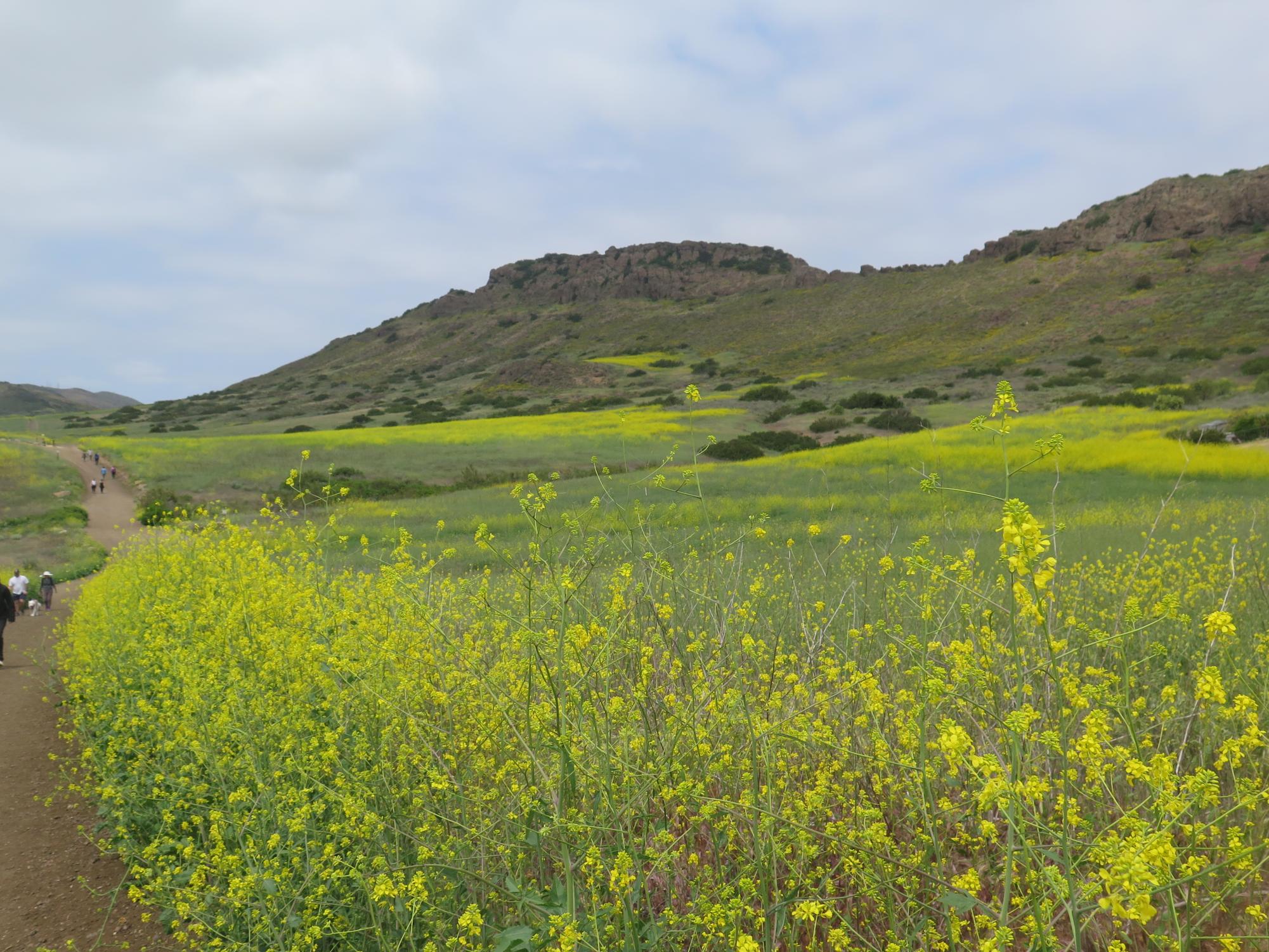 SoCal hiking trails that rock