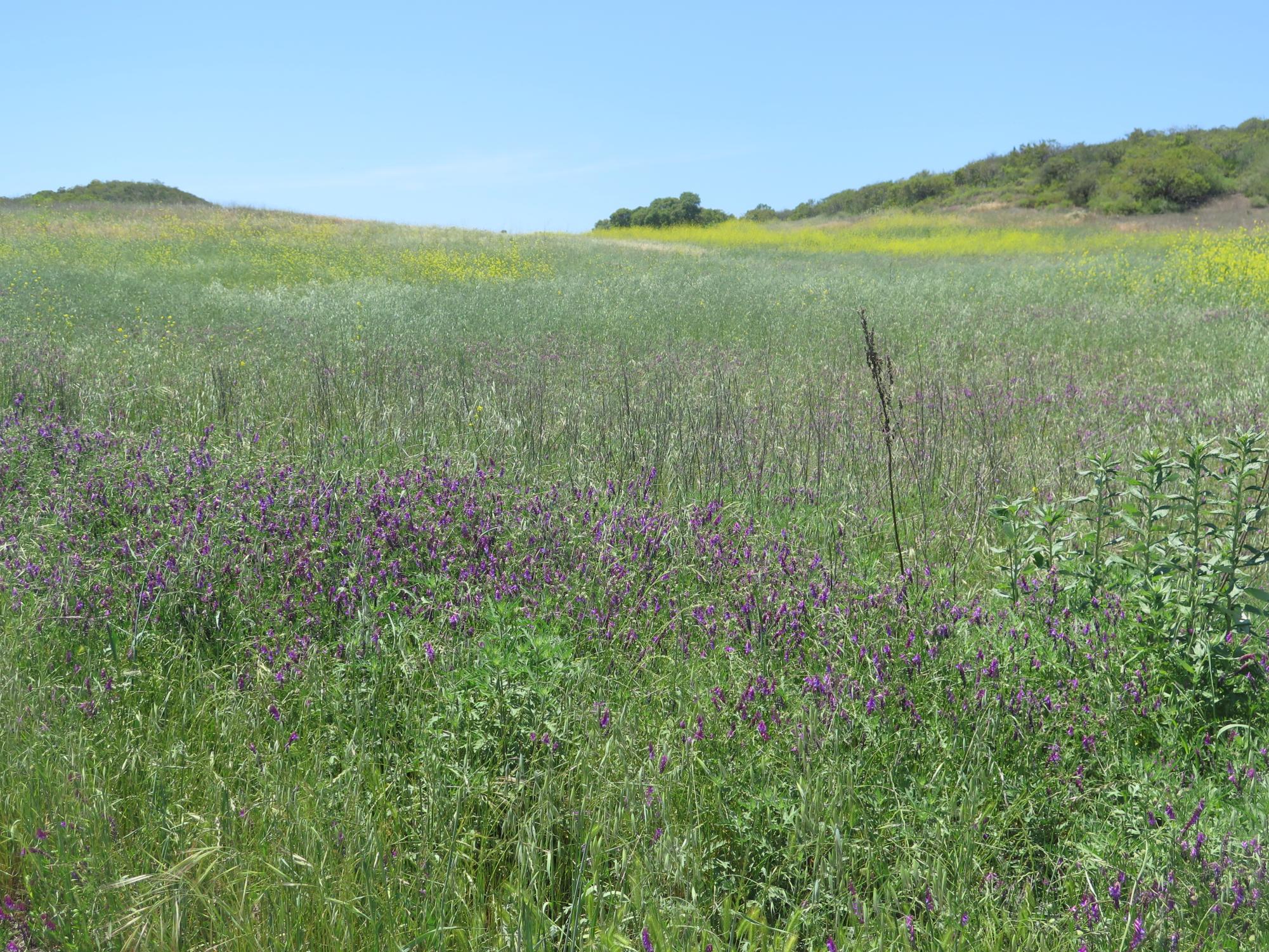 SoCal hiking trails that rock