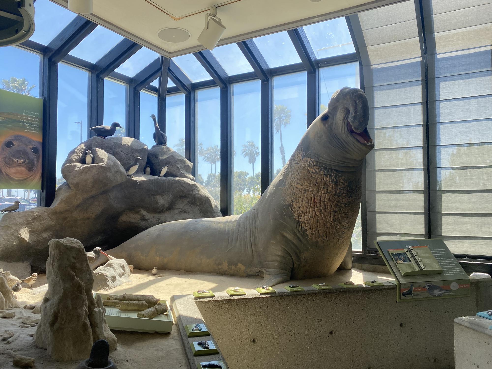 A gem hidden in plain sight - Channel Islands National Park Visitor Center