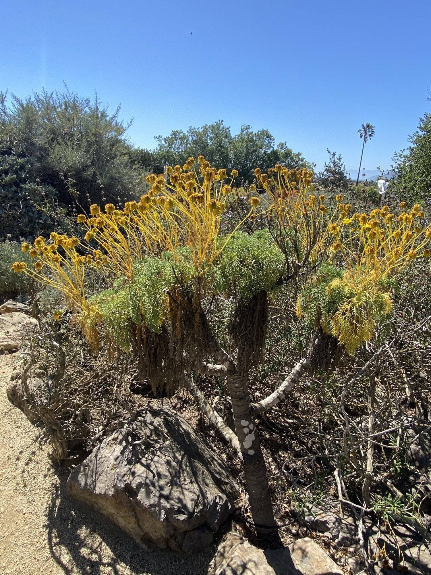 A gem hidden in plain sight - Channel Islands National Park Visitor Center