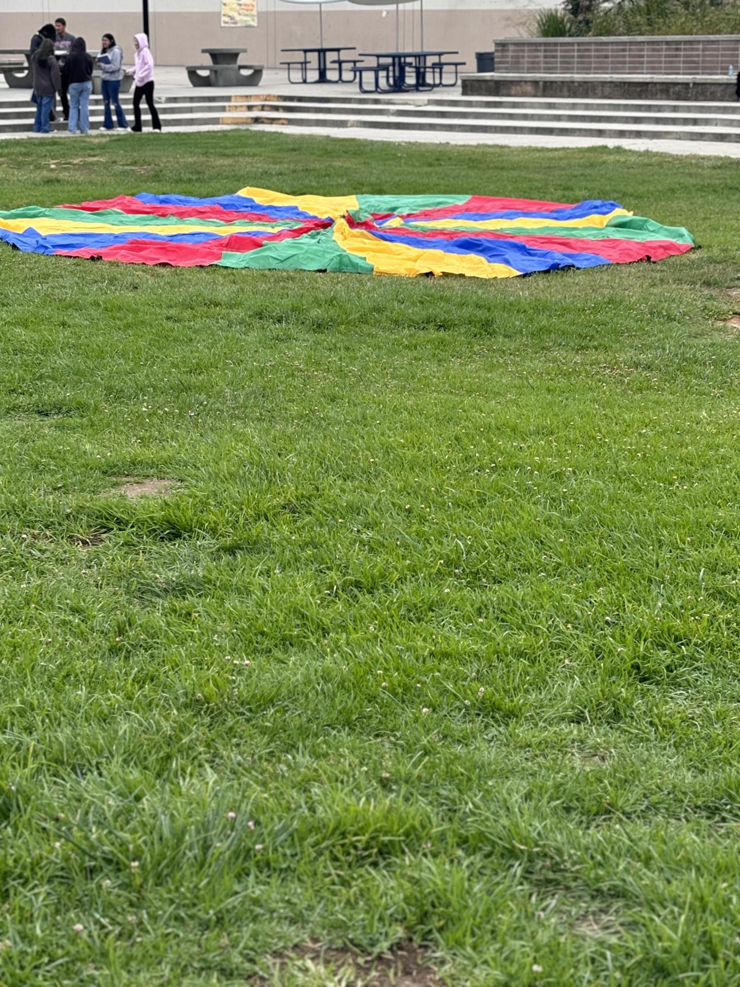 Seniors commemorate the school year with Senior BBQ