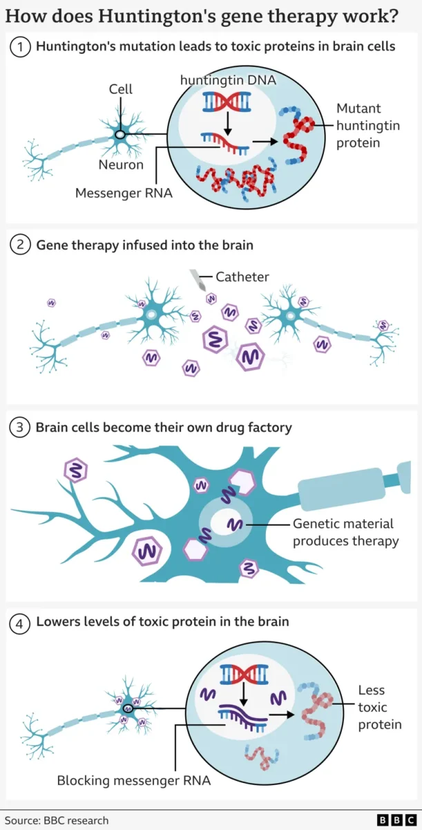 The process in stopping the breaking down of brain cells caused by Huntington's disease. 