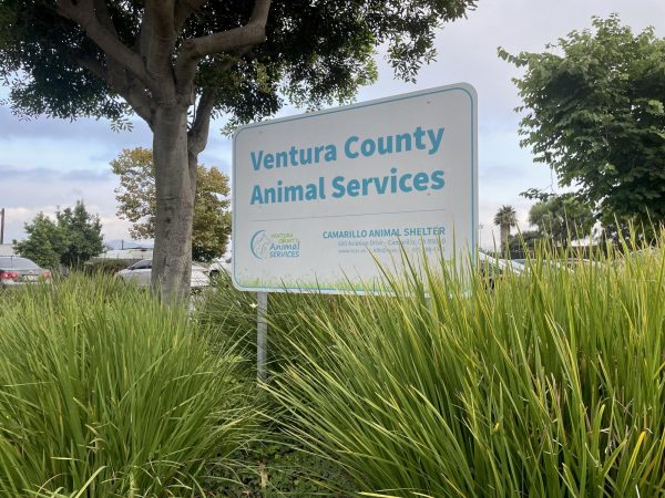 Ventura County Animal Services shelter overcomes challenges with the help of the community