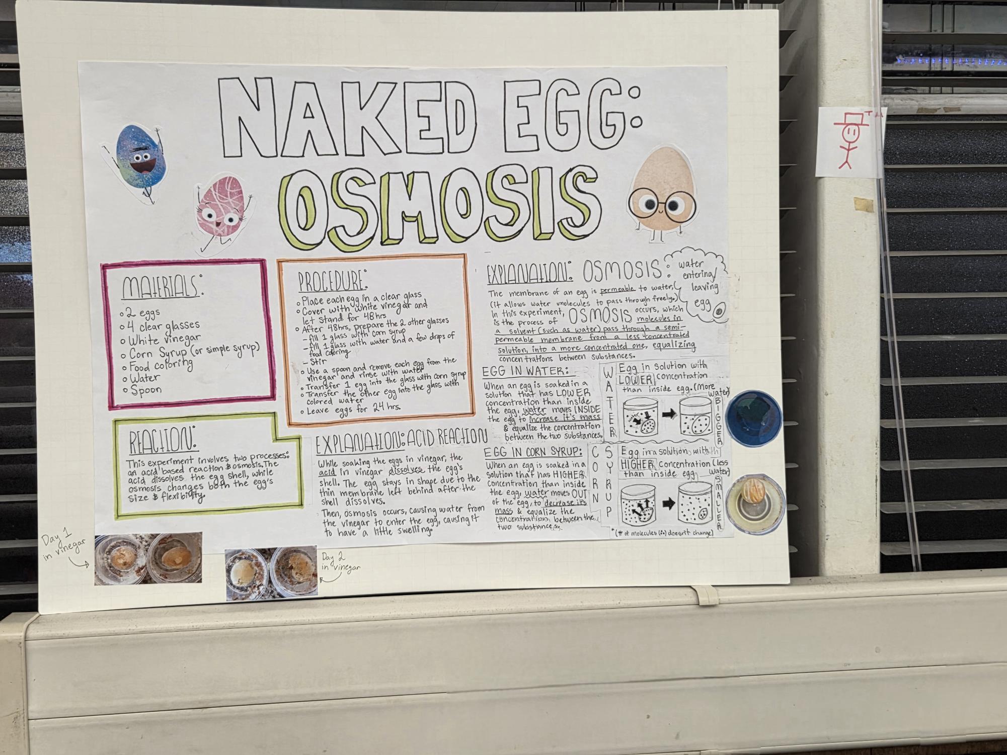 Buena's annual Science Night is an explosive hit