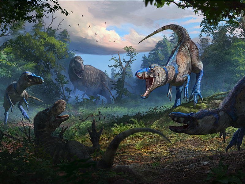 A supposed depiction of the Nanotyrannus. 