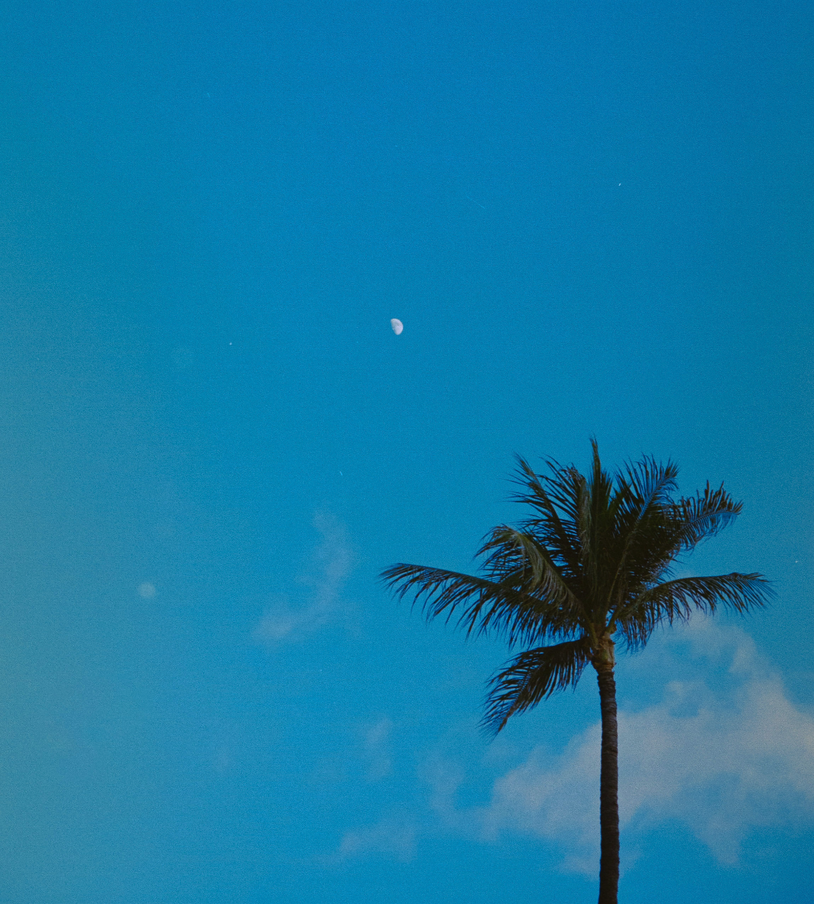 Snapshot of Buena students' film photography
