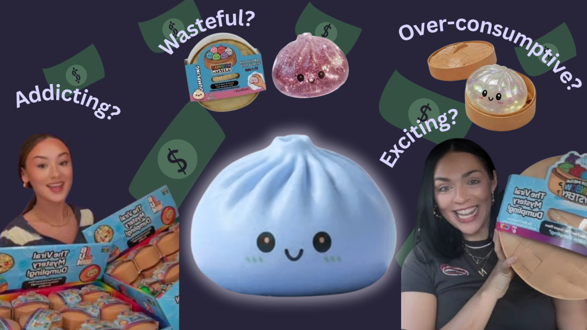 Collage displaying glitter dumplings. Social Media influencers Gianna Harner (left) and Nichole Jacklyne (right) display their glitter dumpling hauls. Graphic made on Canva by Ariel Ramirez.