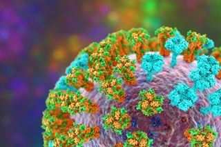 H3N2 flu strain (common name Subclade K).