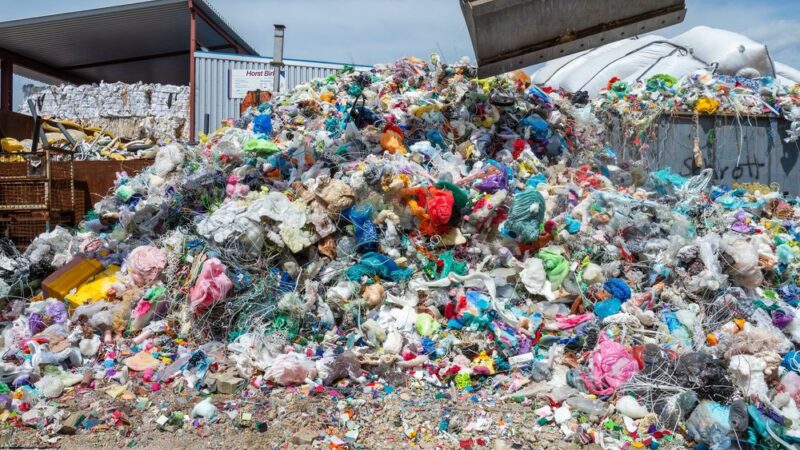 Zero waste: how to make your life more eco friendly