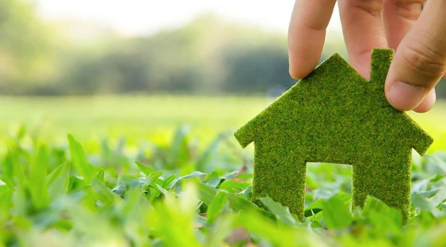 House made of grass in a natural setting.