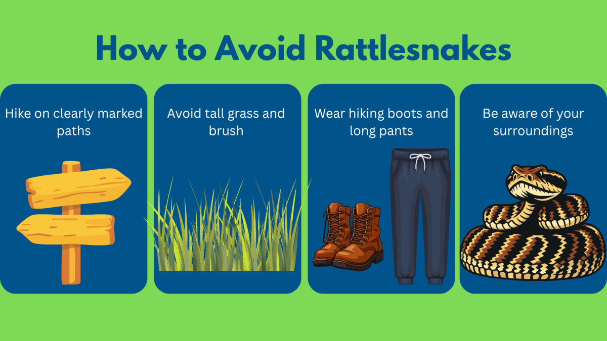An infographic explaining how to avoid rattlesnakes.